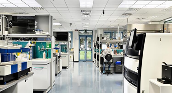 LIAISON全自动化学发光免疫分析仪